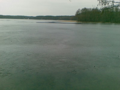 20100405.jpg