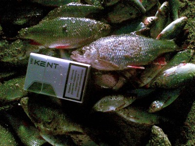 20100405(004).jpg
