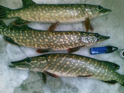20101224(001).jpg