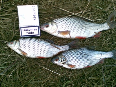 20110409(002).jpg