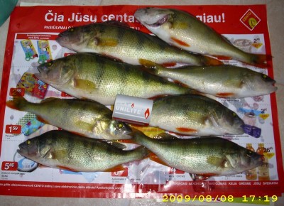 DSCI1236_cr.jpg