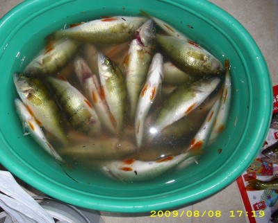 DSCI1237_cr.jpg
